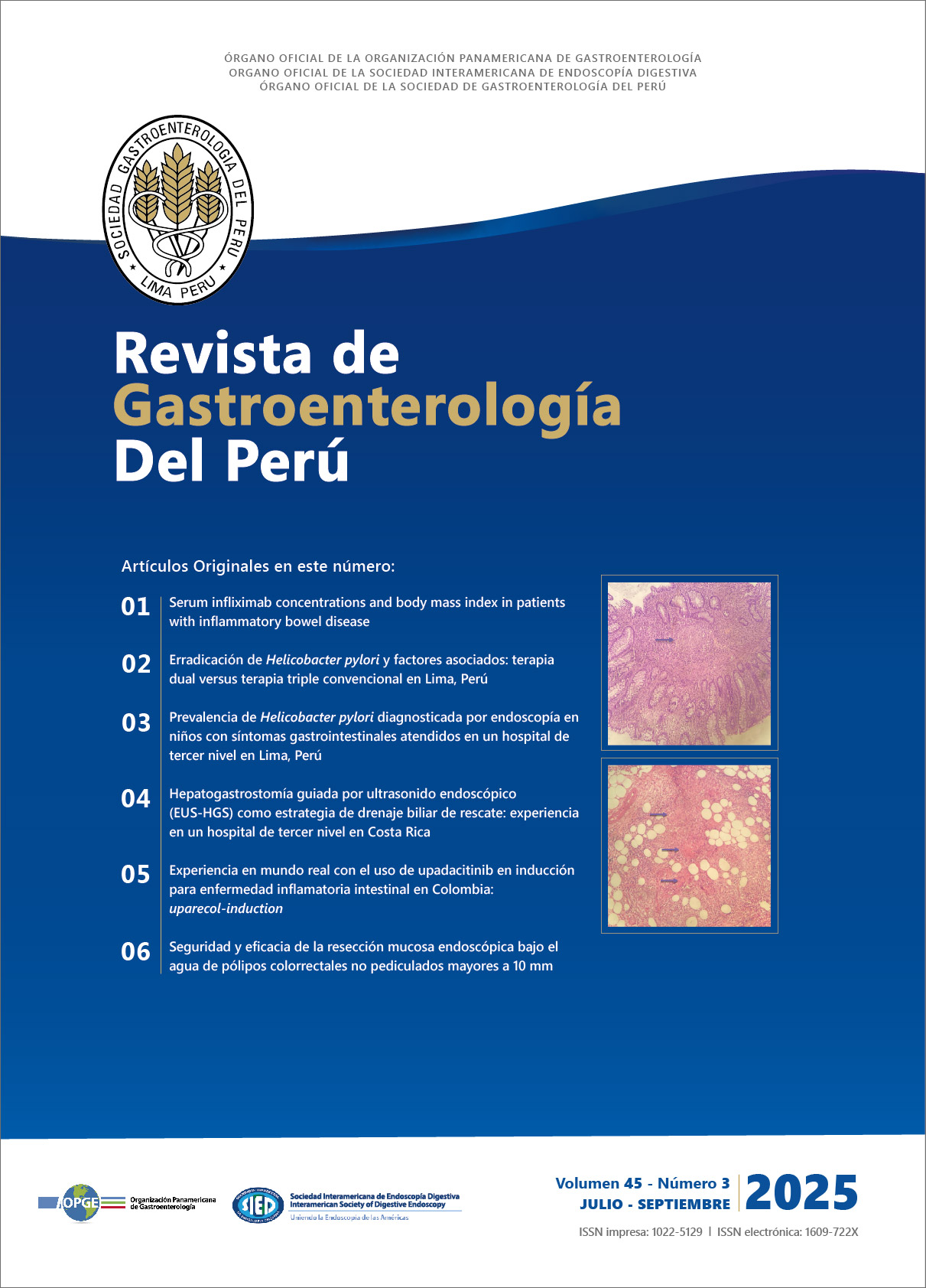 					Ver Vol. 45 Núm. 3 (2025)
				