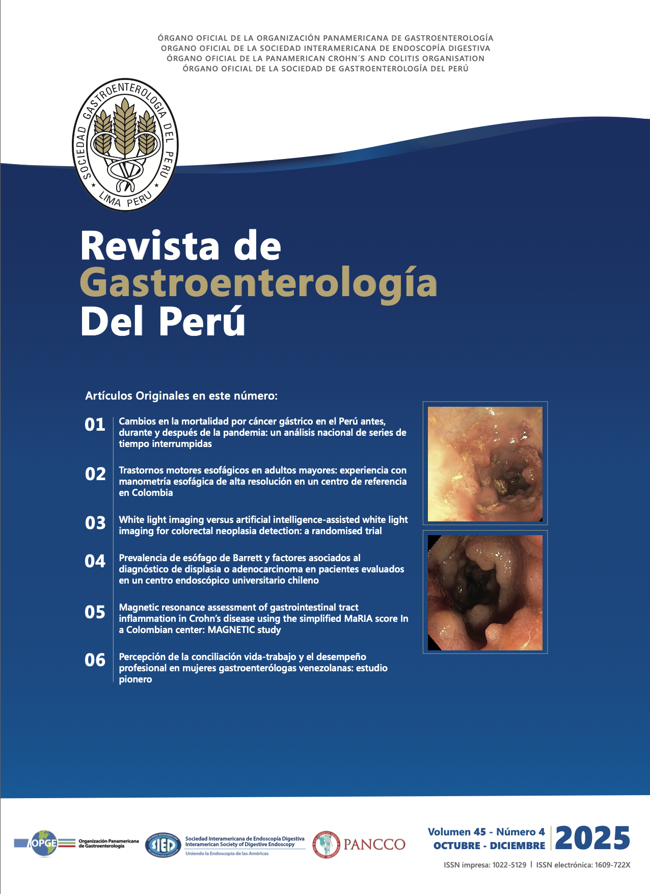 					Ver Vol. 45 Núm. 4 (2025)
				