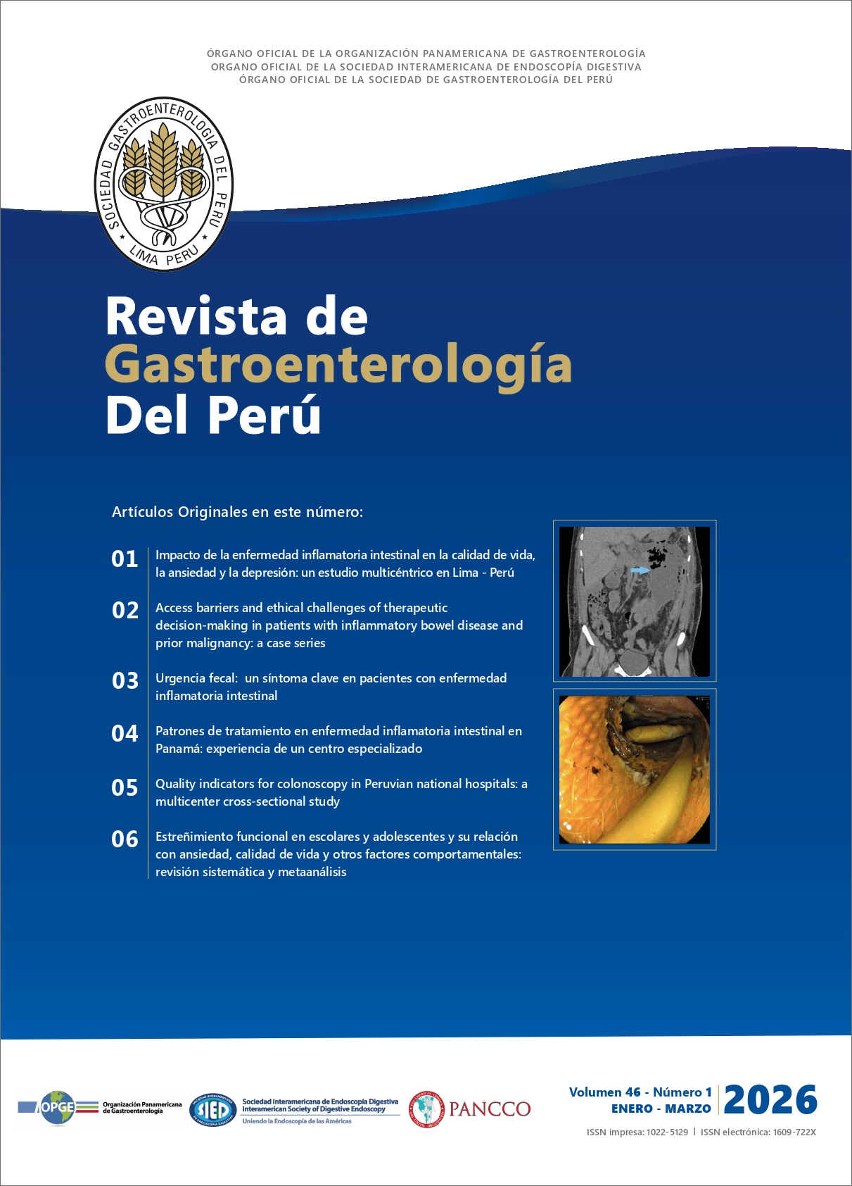 					Ver Vol. 46 Núm. 1 (2026)
				